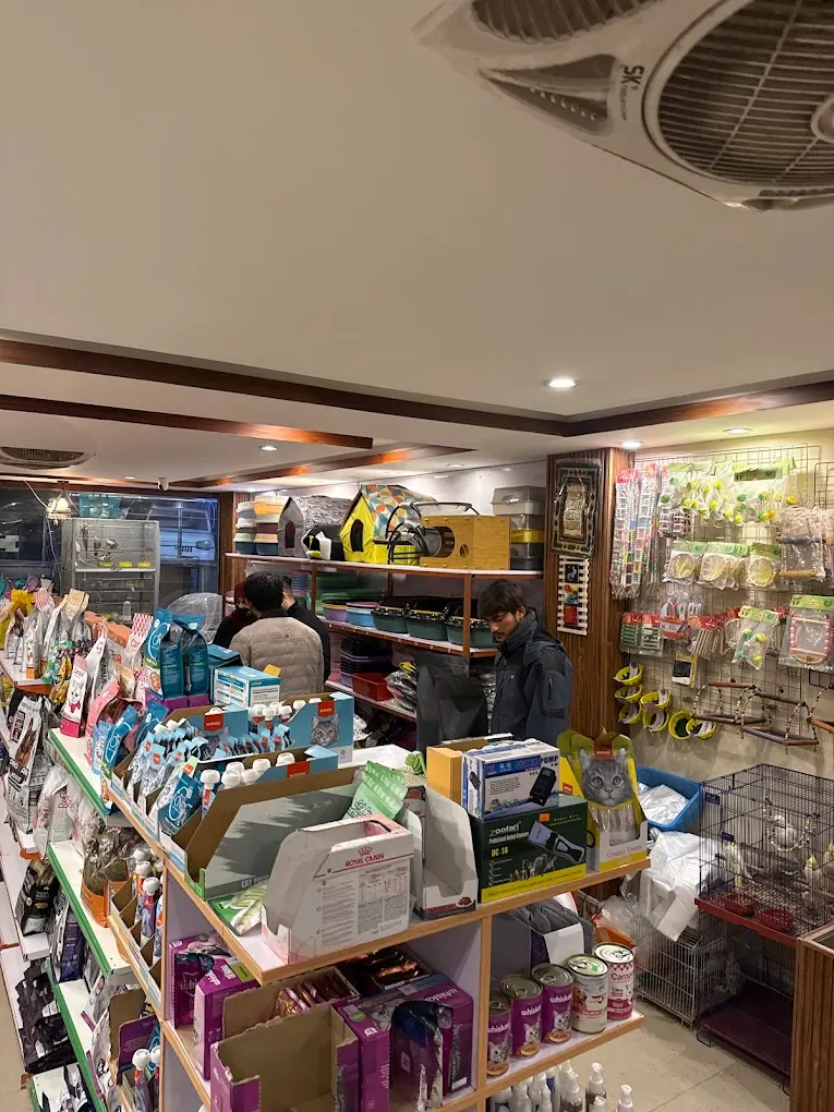 PetKo Store Bahria Town 2