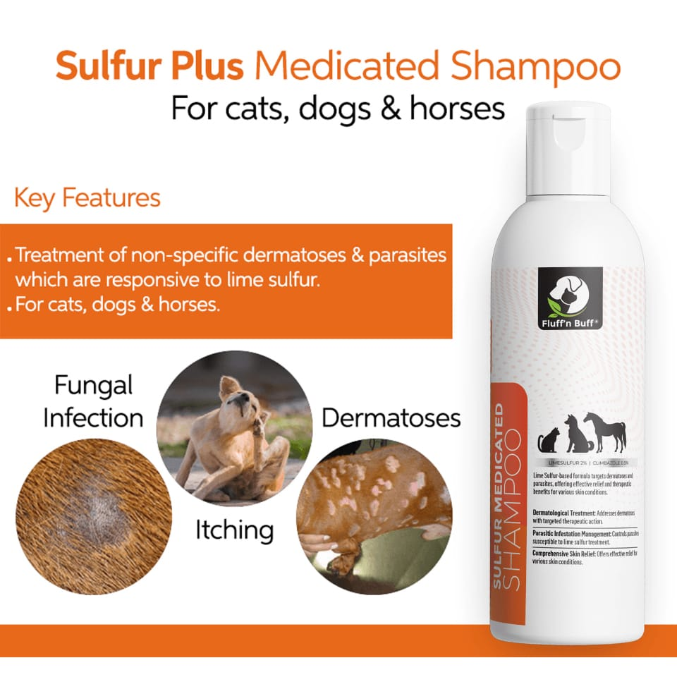 Fluff n Buff Sulfur Plus Medicated Shampoo