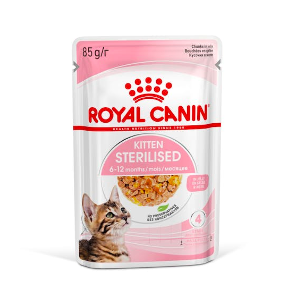Royal Canin Kitten in Jelly