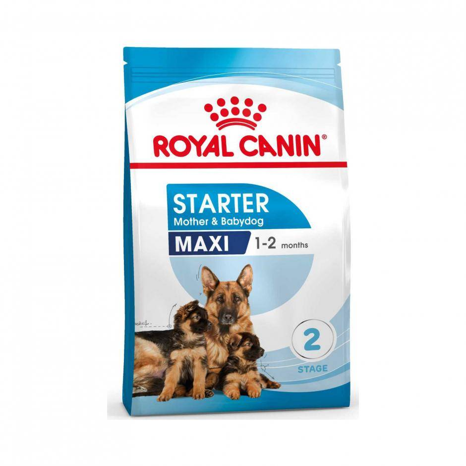 Royal Canin Maxi Starter